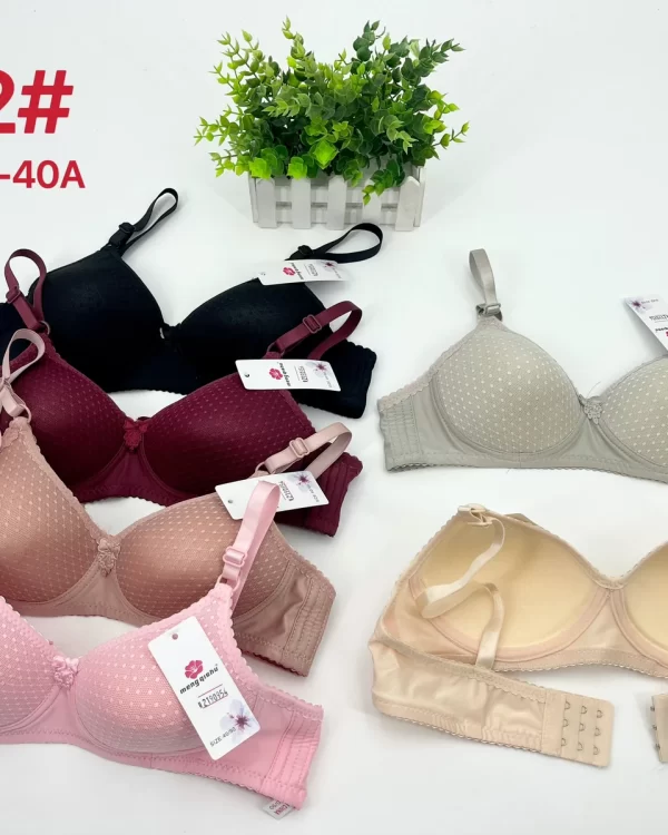 Wholesale Push-Up bra A cup model A22 from factory 219 - China lingerie manufacturer & supplier