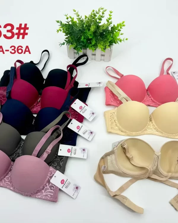 Wholesale Push-Up bra A cup model A863 from factory 206 - China lingerie manufacturer & supplier