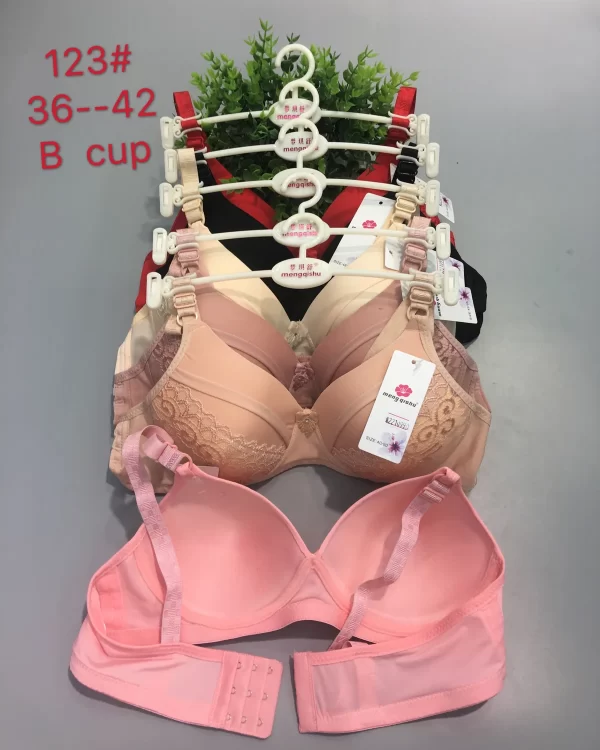 Wholesale Push-Up bra B cup model 123 from factory 221 - China lingerie manufacturer & supplier