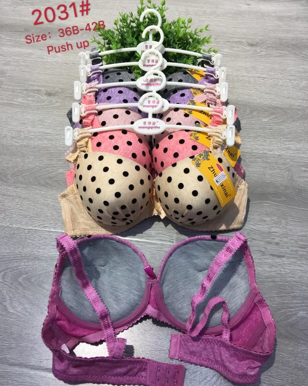 Wholesale Push-Up bra B cup model 2031 from factory 211 - China lingerie manufacturer & supplier