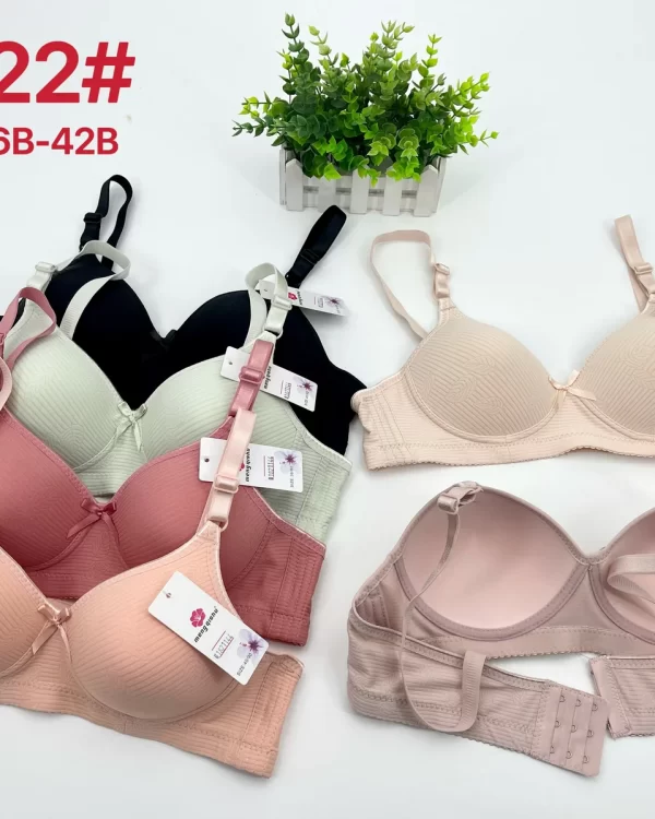 Wholesale Push-Up bra B cup model 2222 from factory 182 - China lingerie manufacturer & supplier