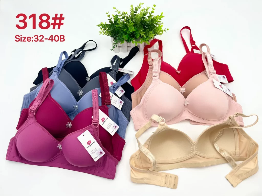 Wholesale Push-Up bra B cup model 318 from factory 231 - China lingerie manufacturer & supplier