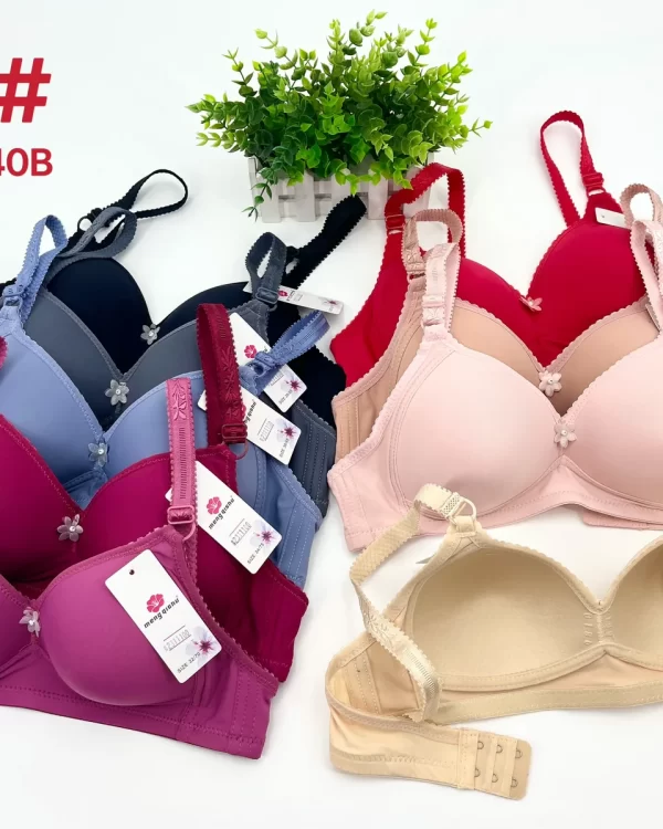 Wholesale Push-Up bra B cup model 318 from factory 231 - China lingerie manufacturer & supplier