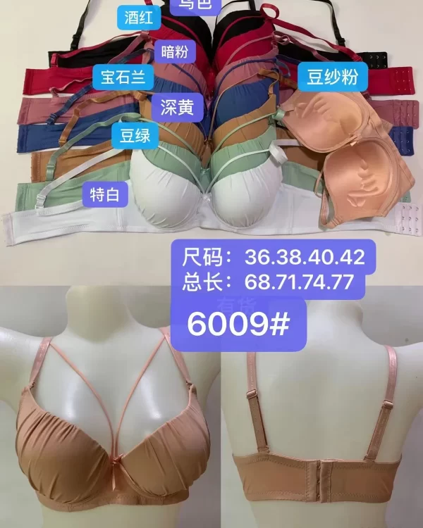 Wholesale Push-Up bra B cup model 6009 from factory 307 - China lingerie manufacturer & supplier