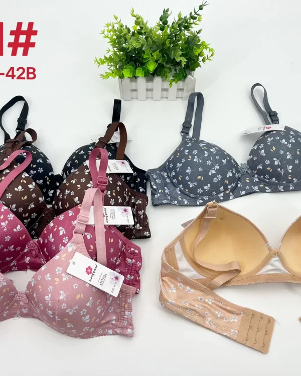 Wholesale Push-Up bra B cup model 621 from factory 252 - China lingerie manufacturer & supplier