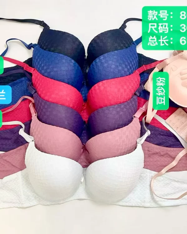 Wholesale Push-Up bra B cup model 8030B from factory 307 - China lingerie manufacturer & supplier