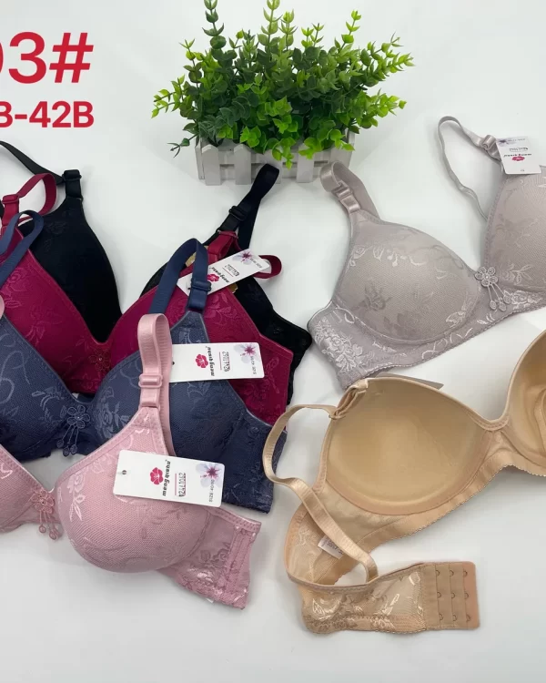 Wholesale Push-Up bra B cup model 8803 from factory 246 - China lingerie manufacturer & supplier