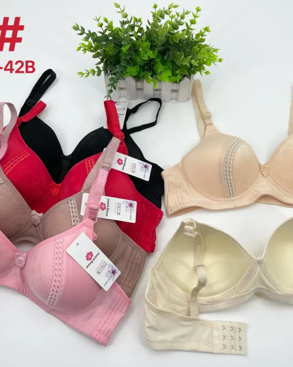 Wholesale Push-Up bra B cup model C8 from factory 219 - China lingerie manufacturer & supplier