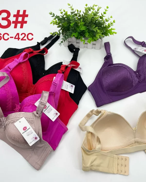 Wholesale Push-Up bra C cup model 123 from factory 007 - China lingerie manufacturer & supplier