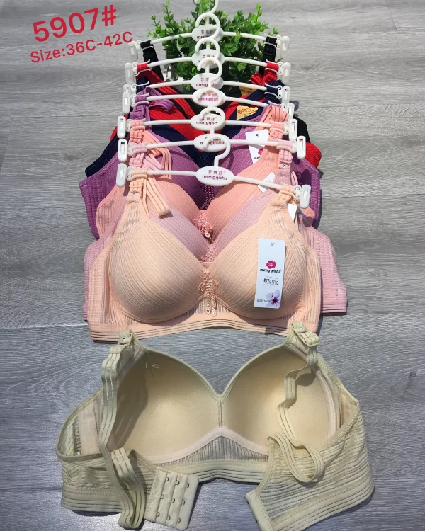 Wholesale Push-Up bra C cup model 5907C杯8色 from factory 150 - China lingerie manufacturer & supplier