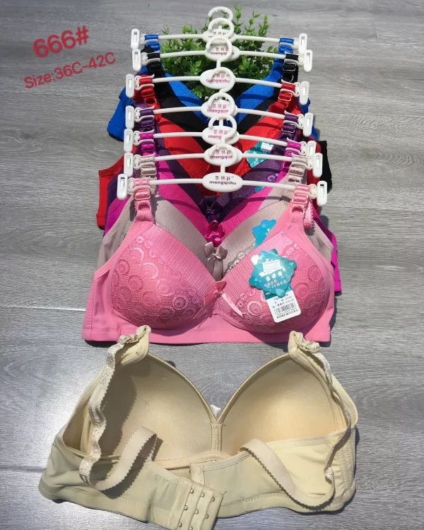 Wholesale Push-Up bra C cup model 666 from factory 007 - China lingerie manufacturer & supplier