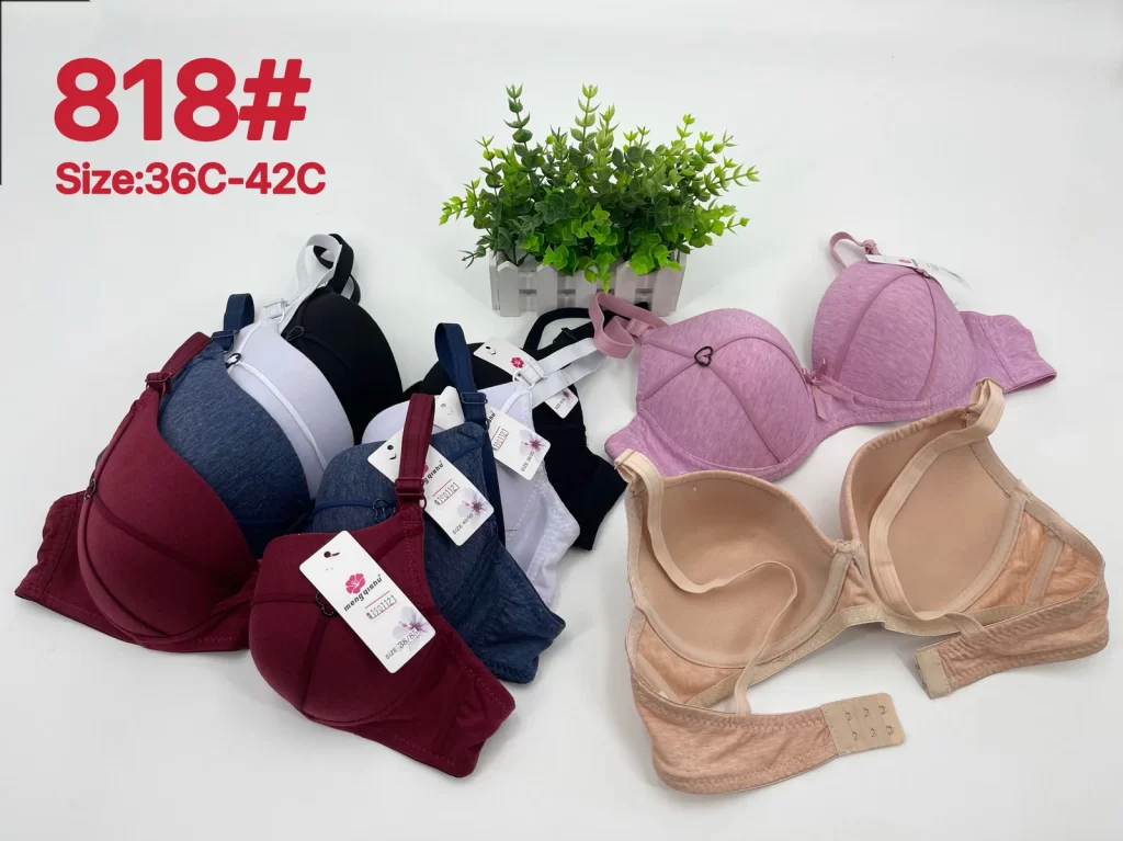Wholesale Push-Up bra C cup model 818 from factory 190 - China lingerie manufacturer & supplier