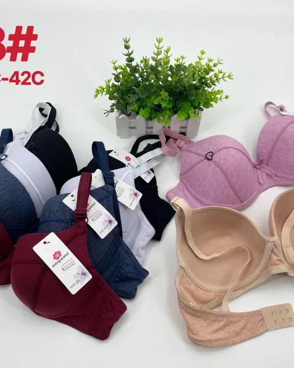 Wholesale Push-Up bra C cup model 818 from factory 190 - China lingerie manufacturer & supplier