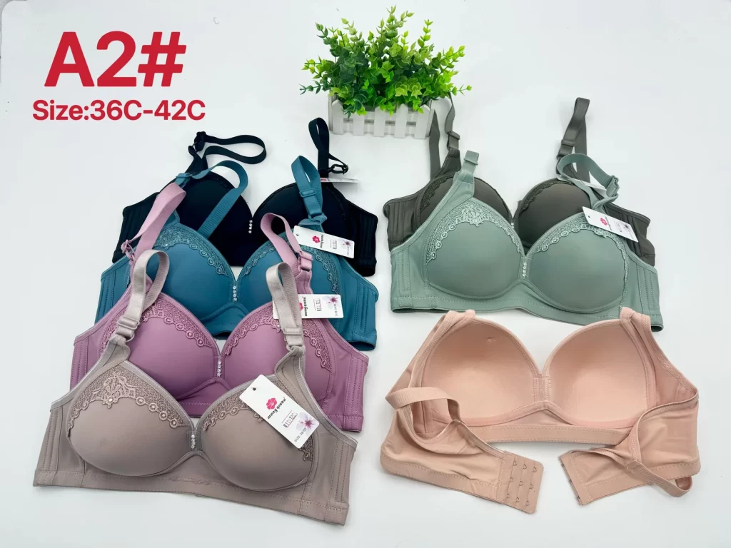 Wholesale Push-Up bra C cup model A2 from factory 119 - China lingerie manufacturer & supplier