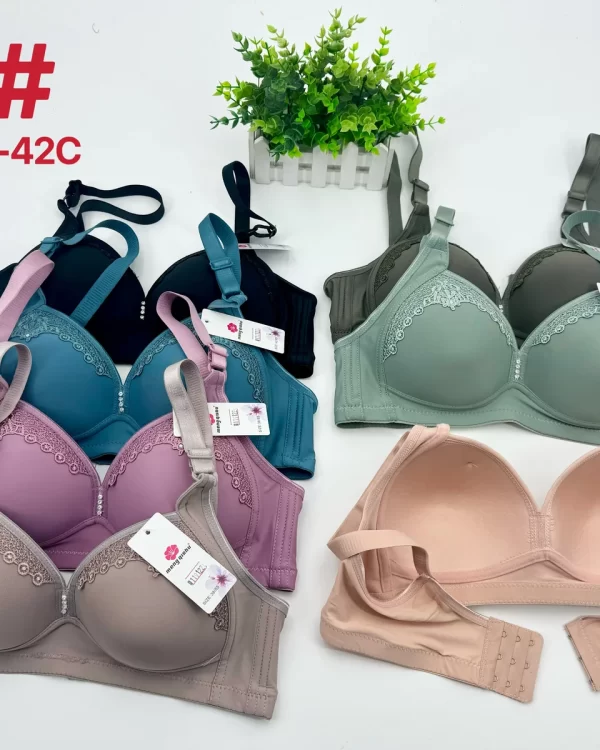 Wholesale Push-Up bra C cup model A2 from factory 119 - China lingerie manufacturer & supplier
