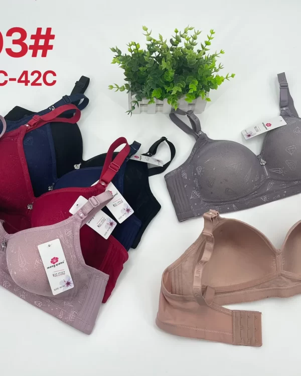 Wholesale Push-Up bra C cup model C203 from factory 001 - China lingerie manufacturer & supplier