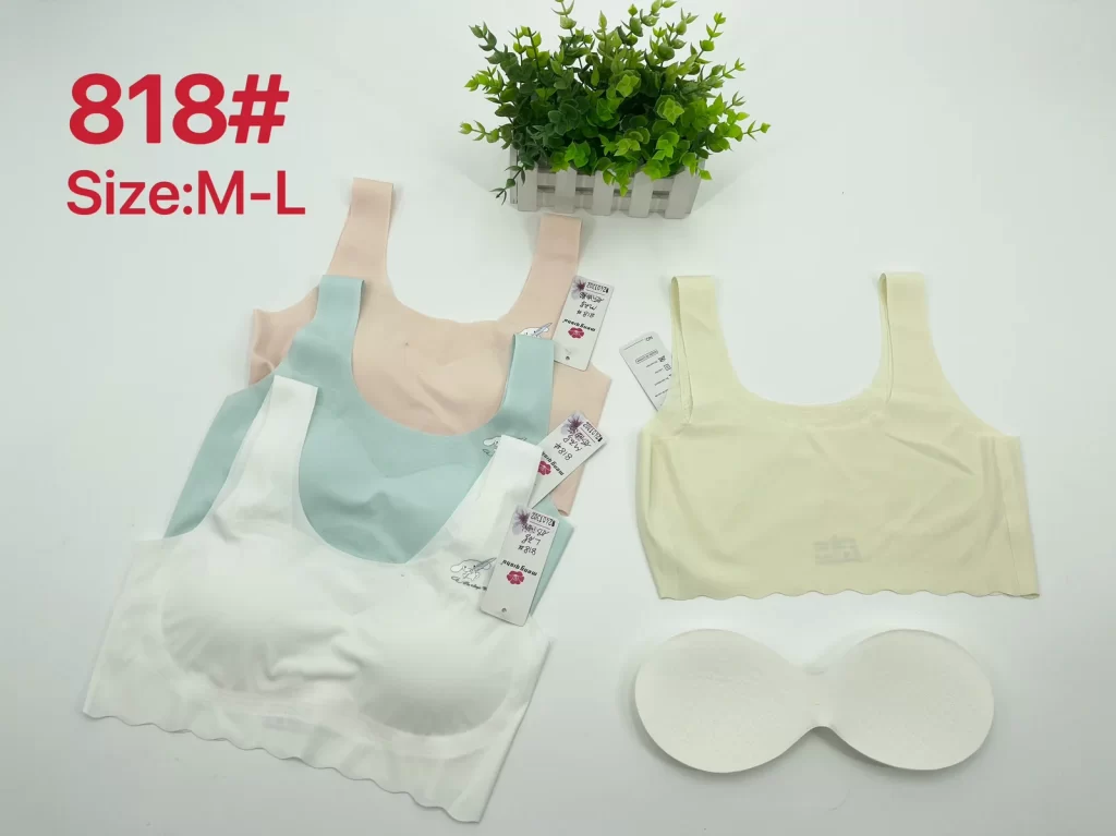 Wholesale Seamless bra model 818 from factory 240 - China lingerie manufacturer & supplier