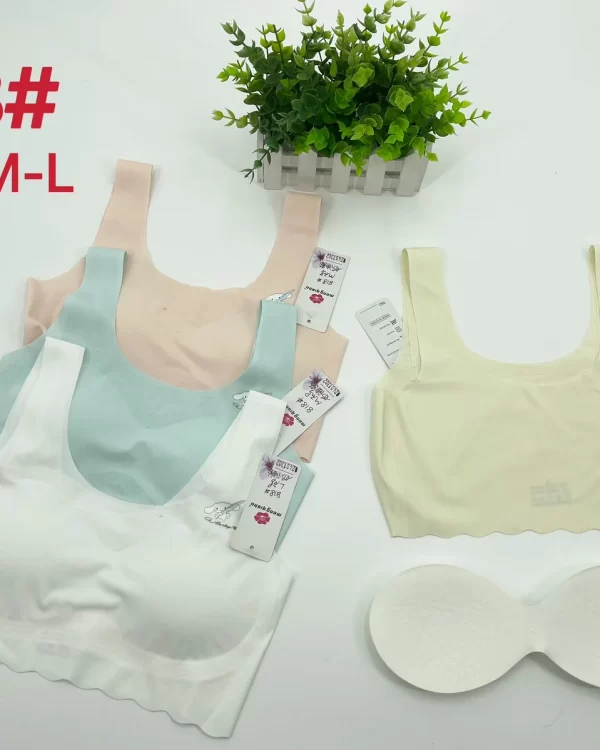 Wholesale Seamless bra model 818 from factory 240 - China lingerie manufacturer & supplier