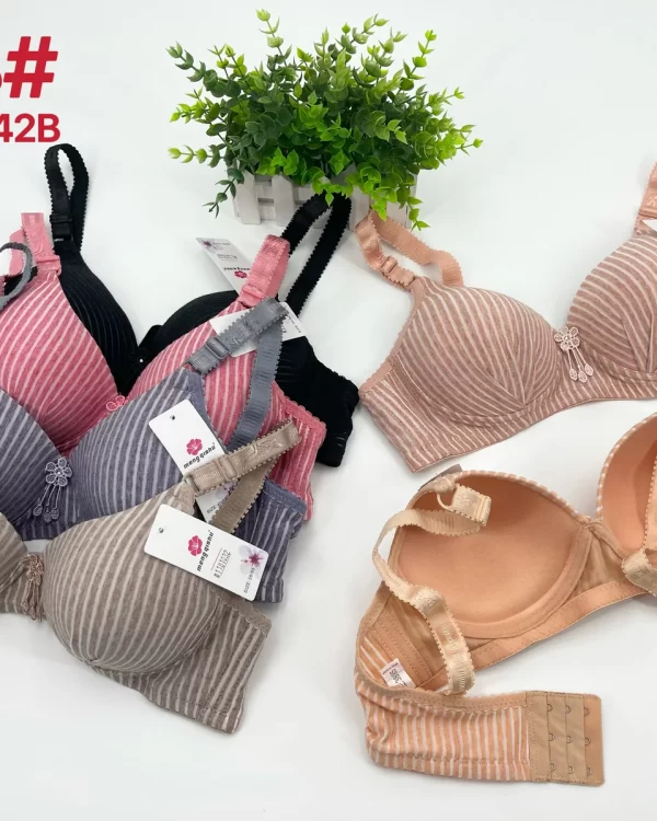 Wholesale Striped Bra B Cup (1318) - China lingerie manufacturer & supplier