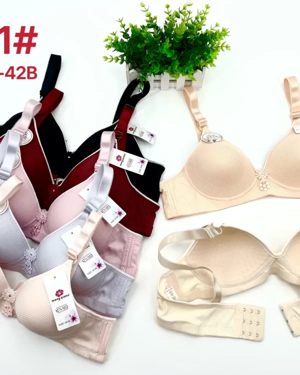 Wholesale Striped Bra B Cup (2201) - China lingerie manufacturer & supplier