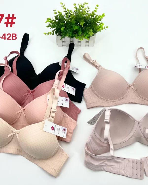 Wholesale Striped Bra B Cup (2217) - China lingerie manufacturer & supplier