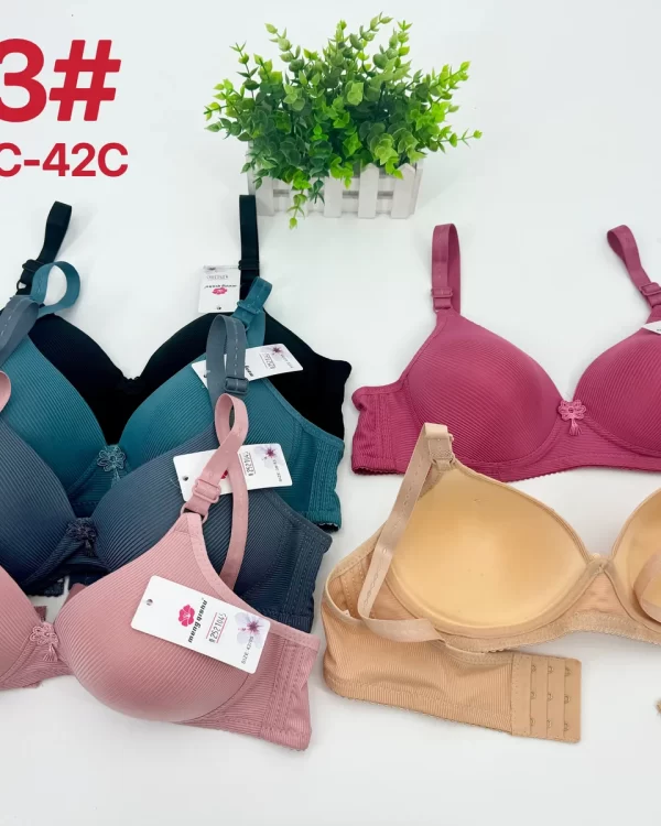 Wholesale Striped Bra C Cup (623) - China lingerie manufacturer & supplier